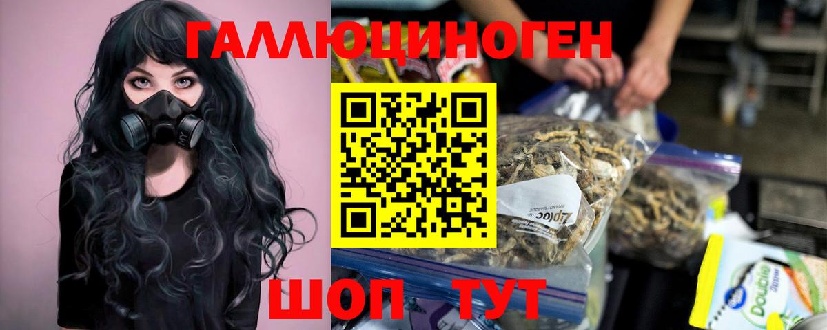 Энгельс  Галлюциногенные грибы Psilocybe  Псилоцибиновые грибы MAGIC MUSHROOMS  Вход с VPN 