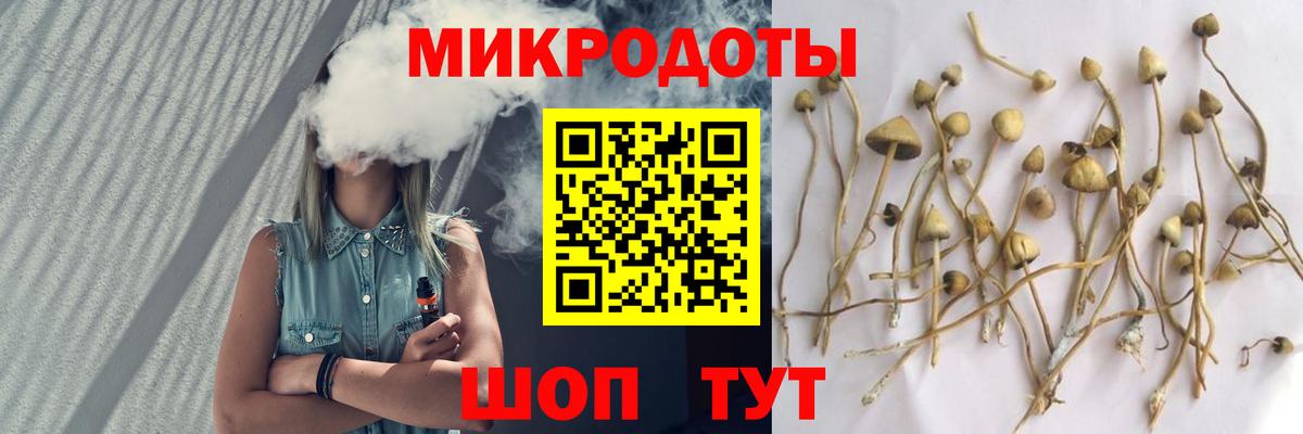 Галлюциногенные грибы мухоморы Энгельс