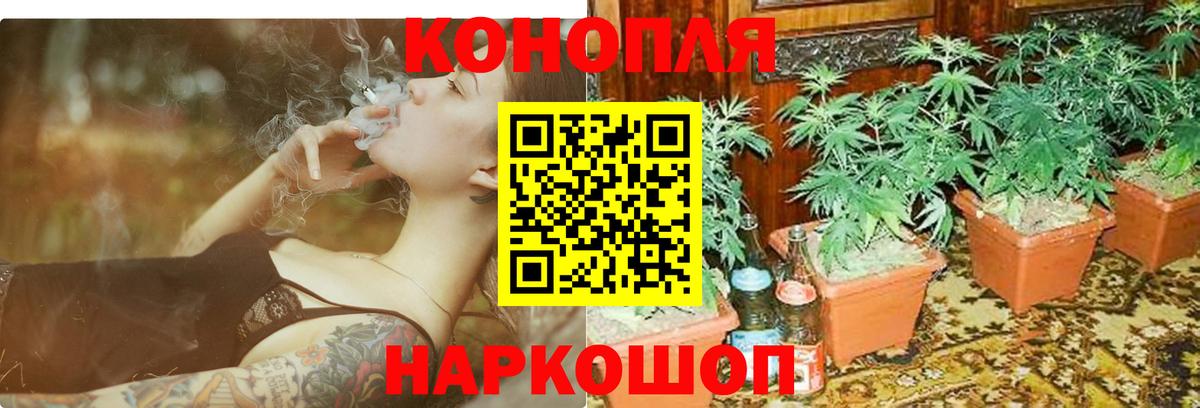 Марихуана VHQ  Бошки Шишки план  Вход с VPN  Энгельс  Марихуана конопля  Конопля сатива 